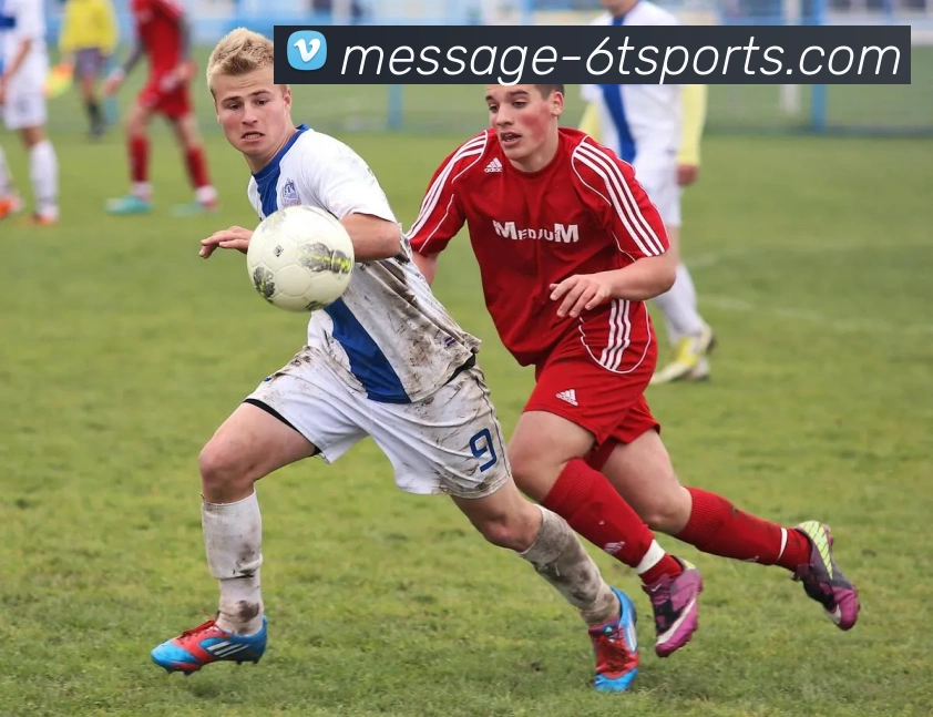 6T体育平台生态图